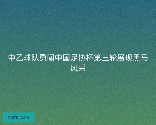 中乙球队勇闯中国足协杯第三轮展现黑马风采
